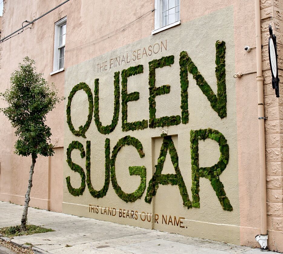 Close-up of Queen Sugar living moss wall installation on building in New Orleans
